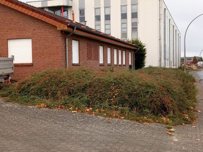 Gewerbeobjekt vorher