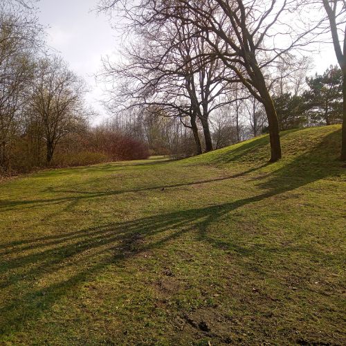 Objektpflege: Parkanlage