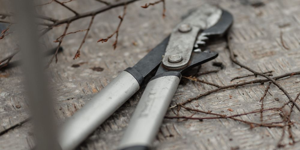 Garten- und Landschaftsbau