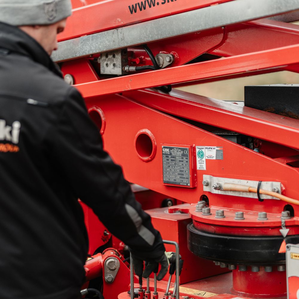 Objektpflege: Säulenbuche